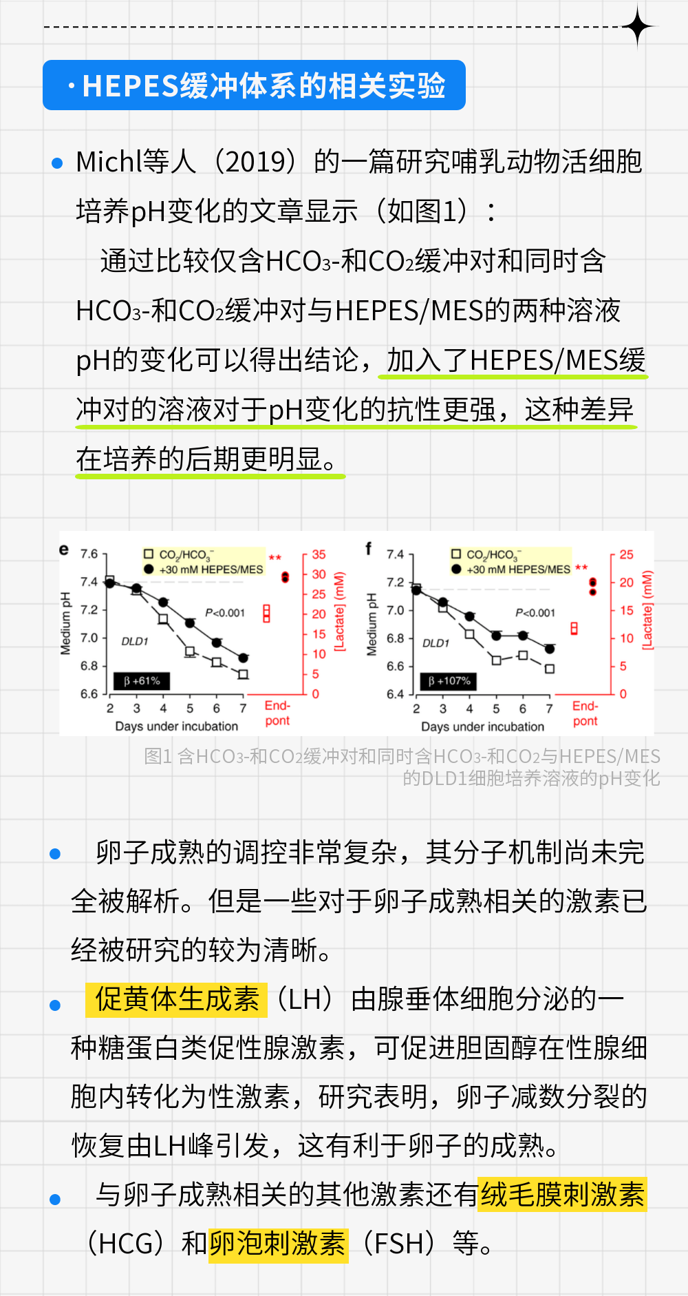 稿定設(shè)計(jì)-5.png